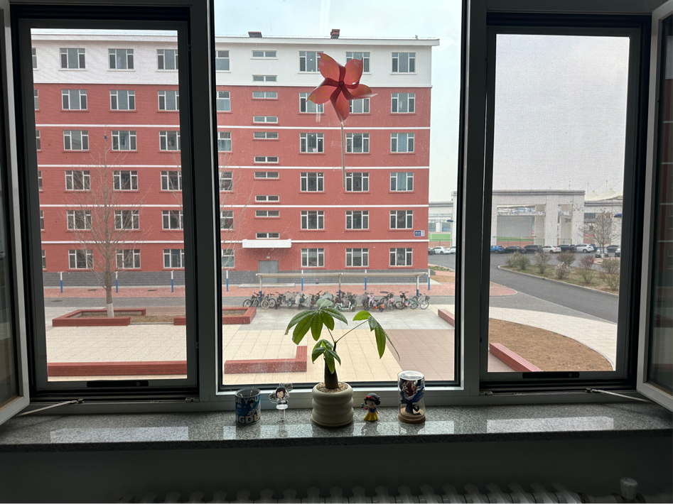 图片 图片