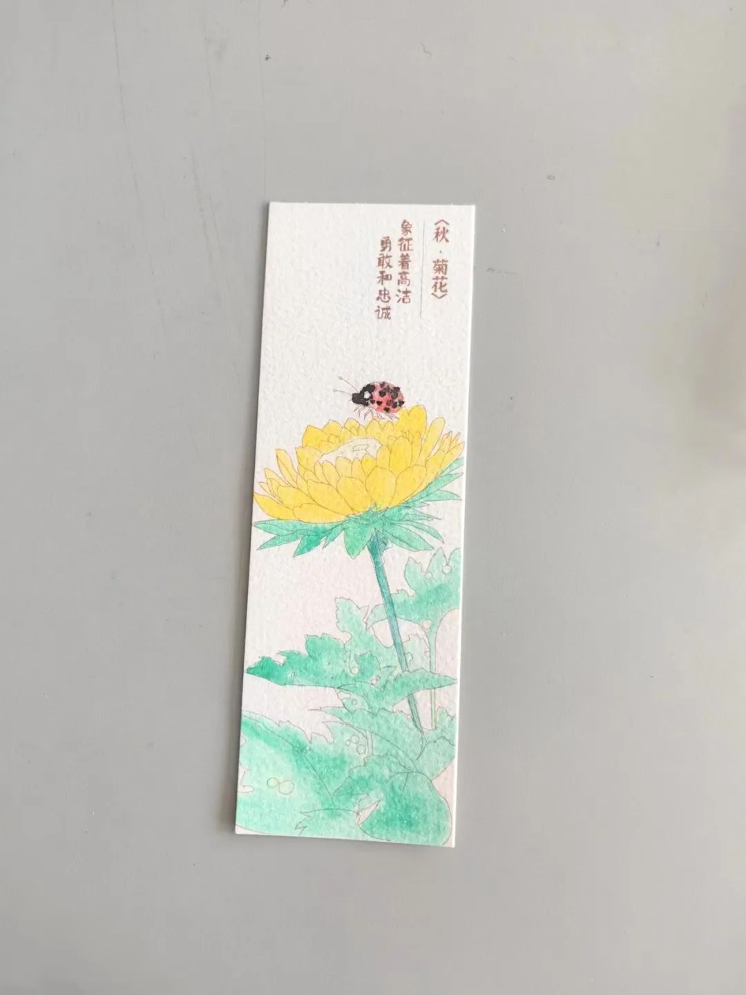 图片 图片